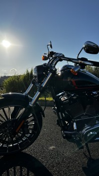 Harley Davidson Fxd BREAKOUT 117